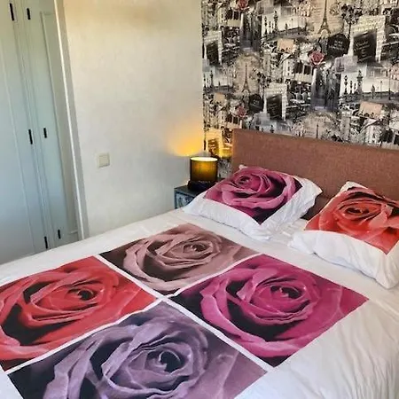 Gezellig Dakappartement Met Zeezicht En 2 Terrassen